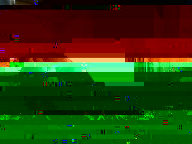 saloneCA9E67AU.jpg