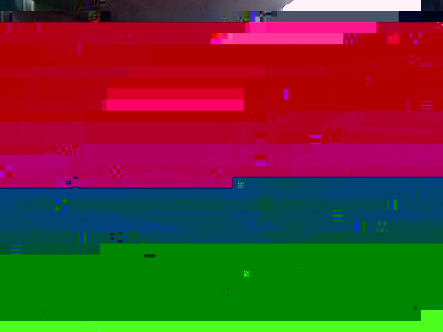 ssa1.jpg