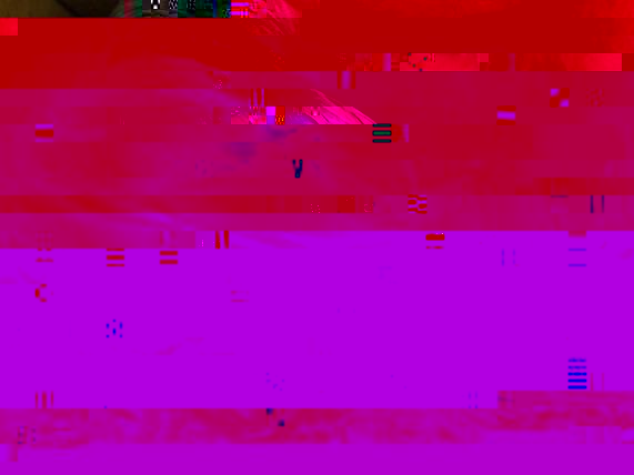 zampa sx.jpg