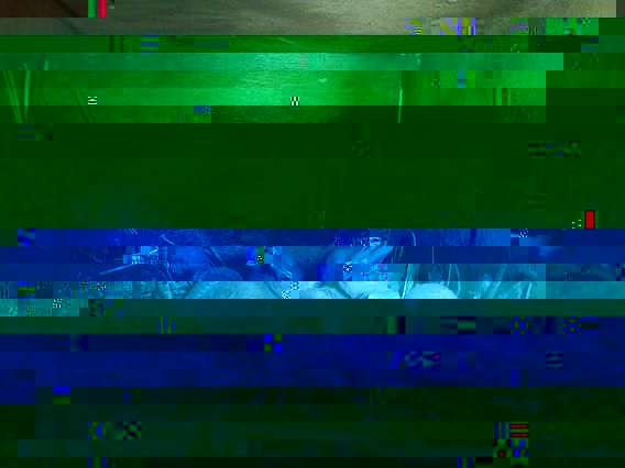 ll.jpg