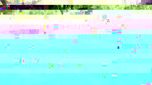 3e773ecac5c5.jpg