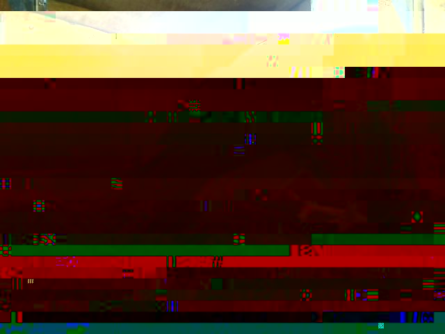 appio1.jpg