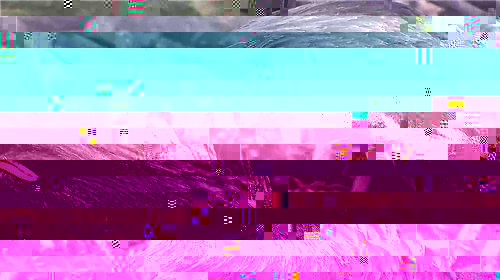 DEL.jpg