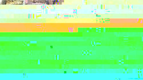 ne.jpg