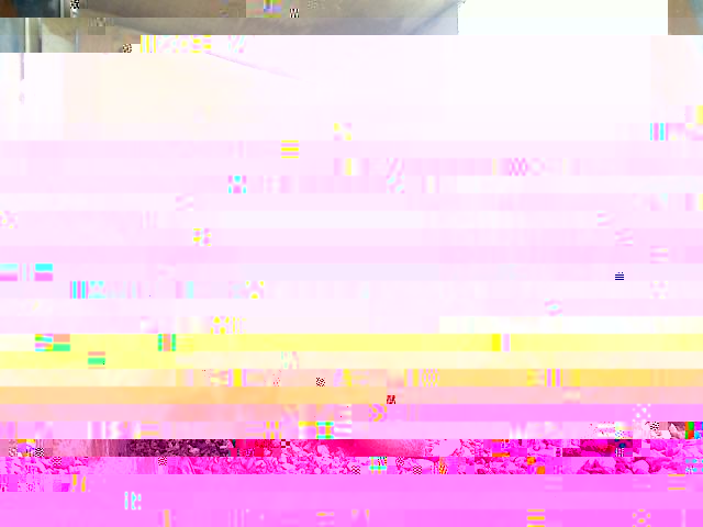 appio.jpg
