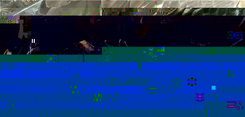 SAM CON PESCE.jpg
