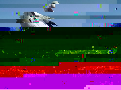 f_20140330152406.jpg