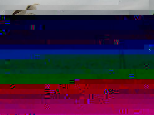 f_20140404182327.jpg