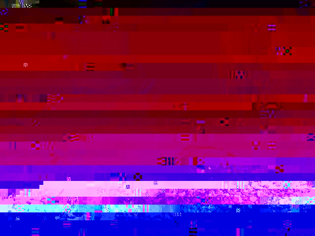 appio2.jpg