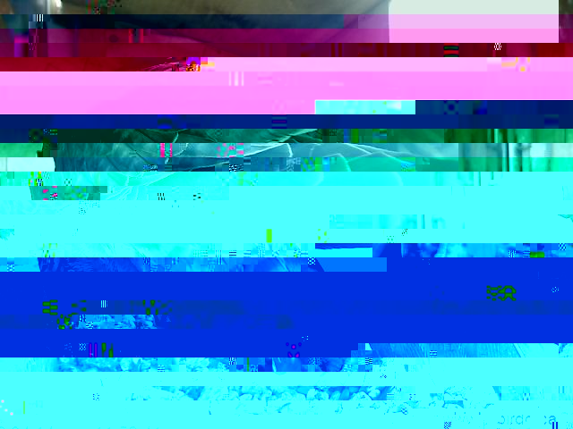 alex.jpg