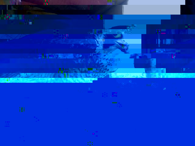 appio.jpg