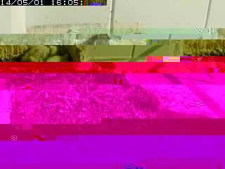 now.jpg