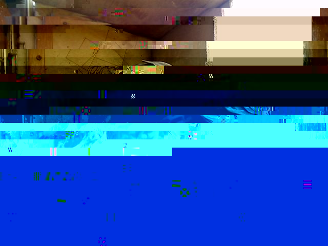 alver....jpg
