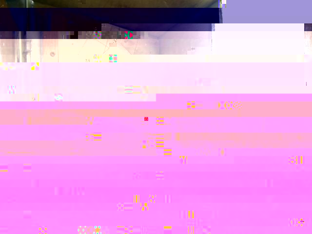 alver.jpg