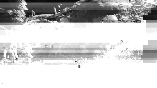 2EtUQcttcv1128201136.jpg