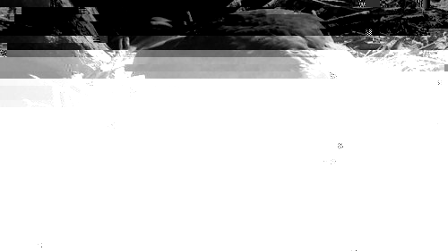 QLHIM9SMsR1128201137.jpg