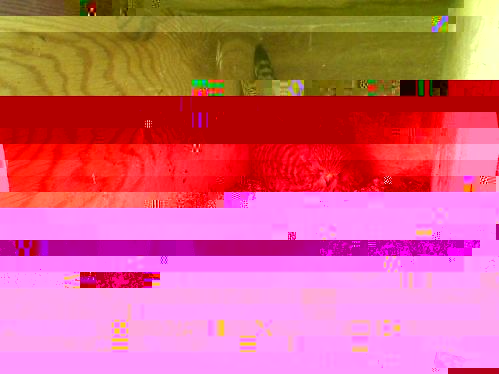 rsab300411h1105.jpg
