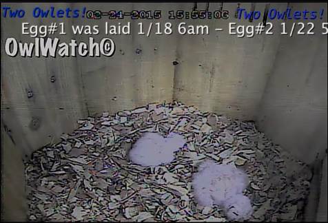 Screenshot_10.jpg