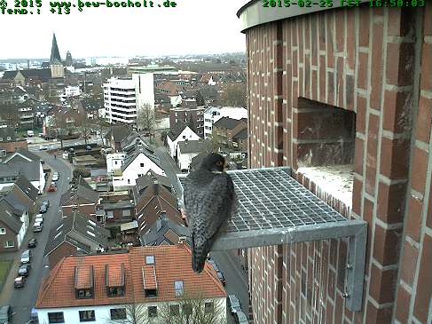 Webcam_StGeorg (10).jpg