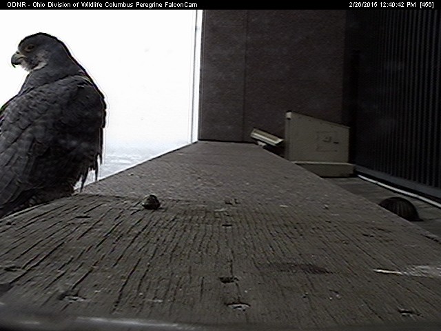 cam1 (11).jpg
