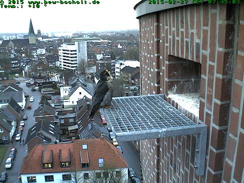 Webcam_StGeorg (13).jpg