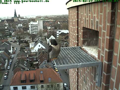 Webcam_StGeorg (15).jpg