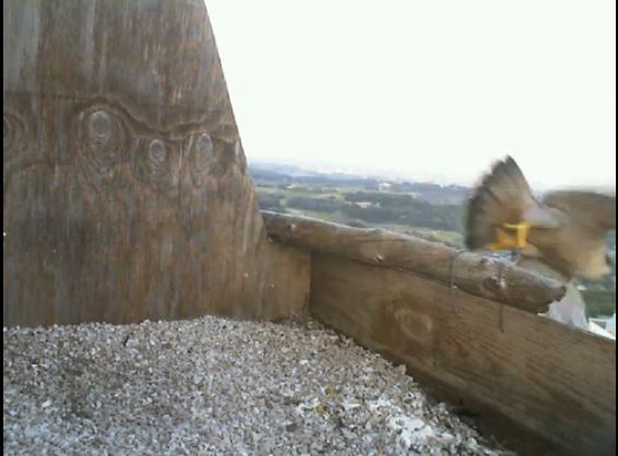 Cattura2.JPG