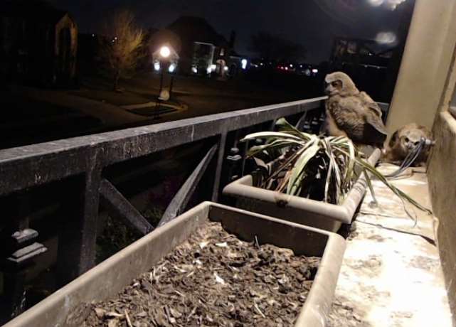 Screenshot_28.jpg