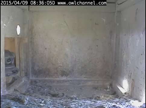 Screenshot_257.jpg