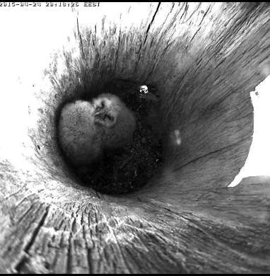 Screenshot_56.jpg
