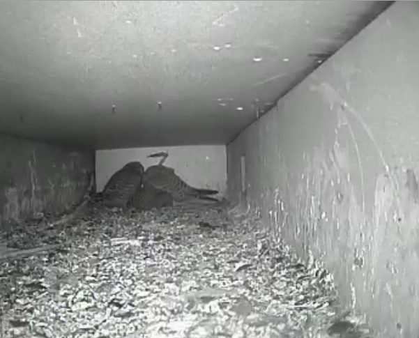 03:00
