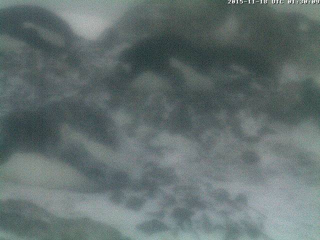 ohig-pingi2-z-4.jpg