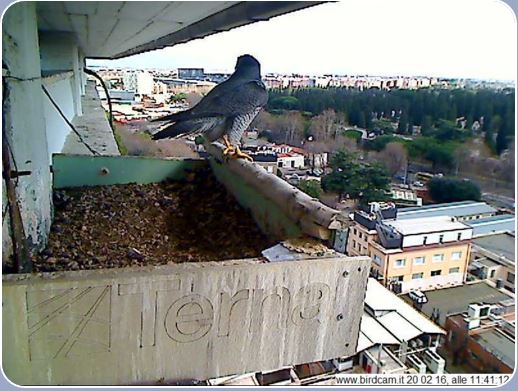 Cattura2.JPG