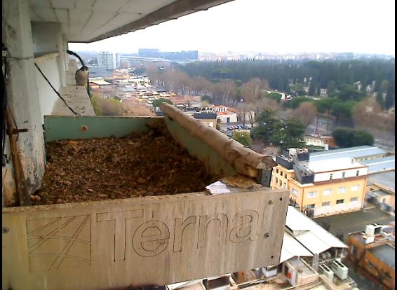 Cattura2.JPG