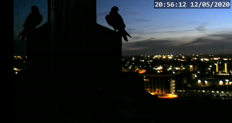 Capture+_2020-05-12-21-03-01~2.png