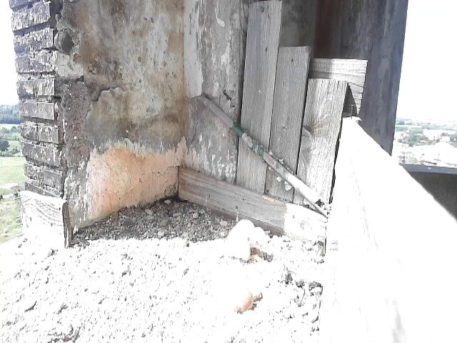 birdcam_26-4-2021-11-48.jpg