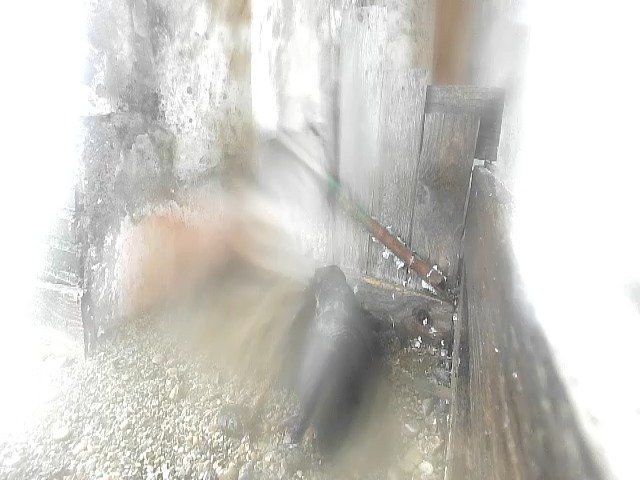 birdcam_28-4-2021-6-54.jpg