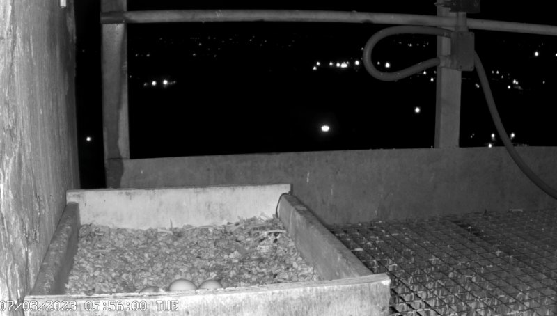 Screenshot_20230307_070242_YouTube.jpg