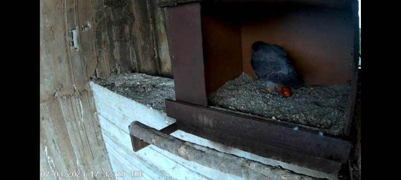 Screenshot_20230307_173436_YouTube.jpg