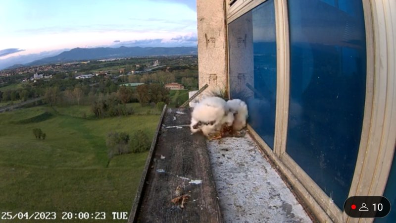 Screenshot_20230425-200044.jpg