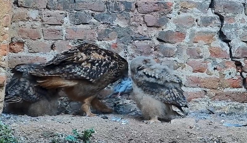 pranzo.jpg