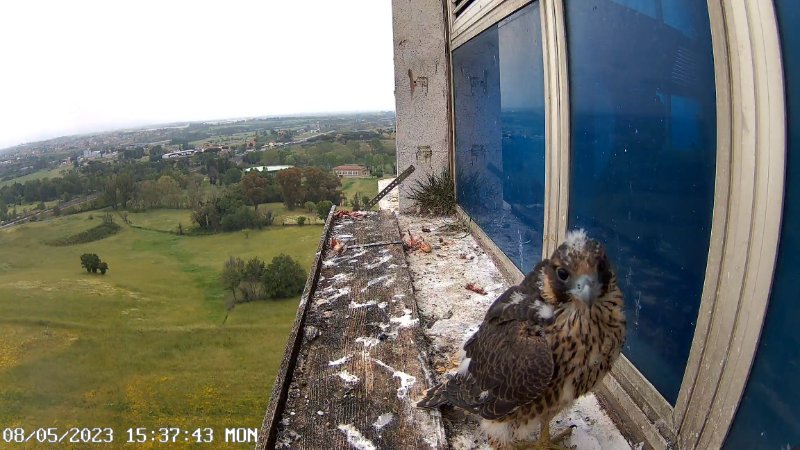 SnapShot-20230508_153750.jpg