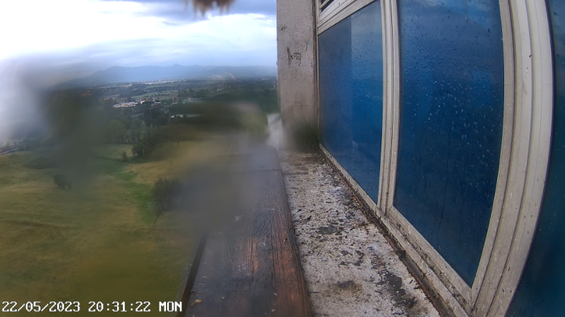 Birdcam.it - Outside Camera Alex & Vergine 11-19-21 screenshot.png