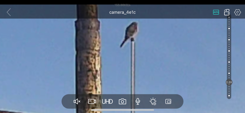 IMG_6620.png