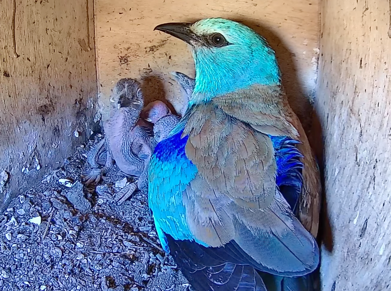 Screenshot 2023-07-04 alle 10.09.04.png