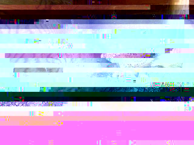 cirl.jpg