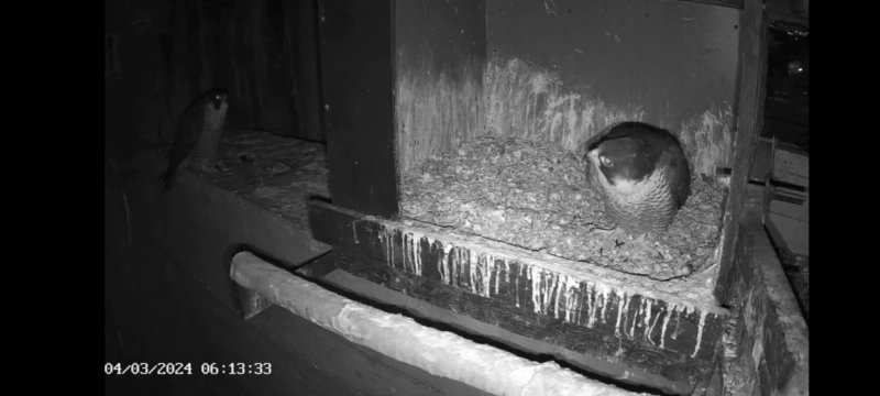 Screenshot_20240304_102419_Gallery.jpg